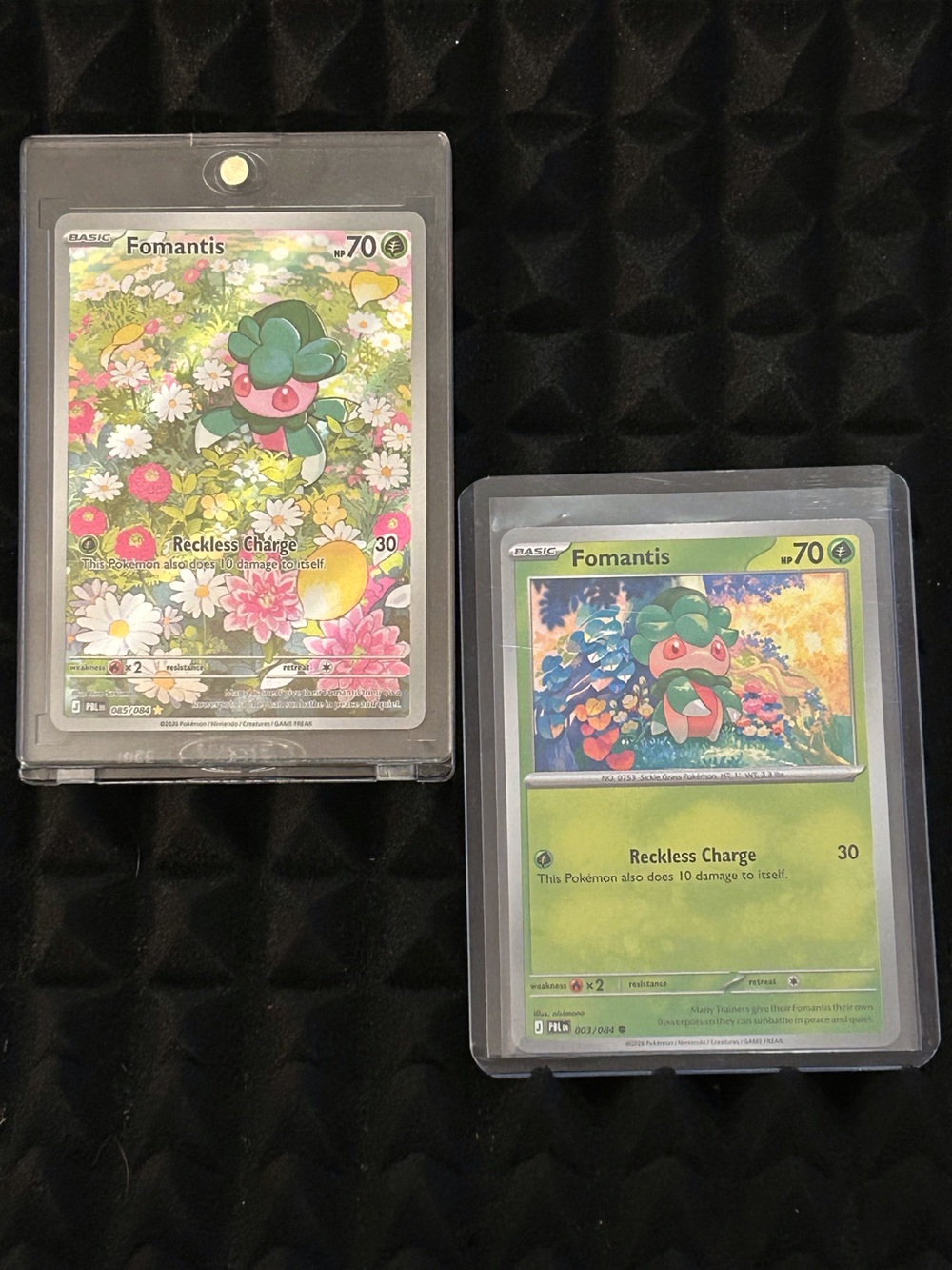 Pokémon TCG Fomantis Full Illustration plus Bonus Cards